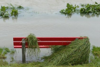 Americans Are Tuning Out the News Like Never Before