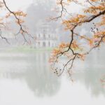 Another High-Stakes Peace Summit Planned for U.S., European, and Ukrainian Officials