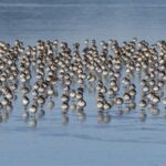 Violent Crime Plummets in Washington as Drug Offenses Skyrocket, New Data Reveals