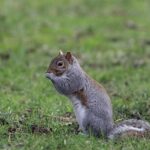 Be On the Forefront. Be Unstoppable