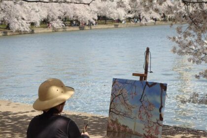 Has Washington DC Crime Dropped in the Two Weeks Since Trump Took Office?