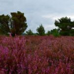 Erika Kirk Endorses J.D. Vance for President at Annual Turning Point USA Conference