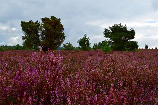 Erika Kirk Endorses J.D. Vance for President at Annual Turning Point USA Conference