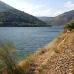 Presidential: Exploring the Character and Legacy of America’s Presidents