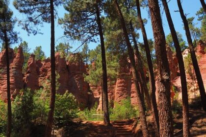 Education Department Quietly Scraps Rules for Teaching English Learners