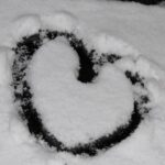 Trump Calls Chicago the ‘World’s Most Dangerous City’-But the Four Most Violent Are All in Red States