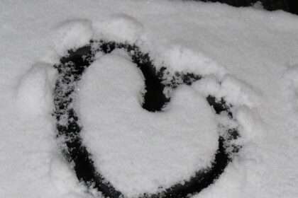 Trump Calls Chicago the ‘World’s Most Dangerous City’-But the Four Most Violent Are All in Red States