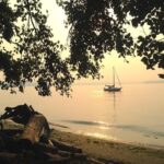 Washington Declares Emergency as Flood Threat Persists in Pacific Northwest