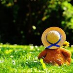 What Really Went Wrong in the Final Play Against Green Bay?