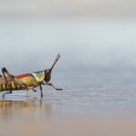 Zoning Approved for Exciting New Entertainment Center in South Shore