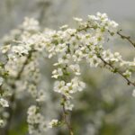 The Ultimate Sports Equinox Is Here!