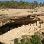 How This Mesa Biotech Company Boosted Its Revenue by 600% in Just 18 Months