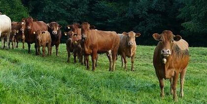 Congressional Committee Launches Investigation into Alleged Antisemitism in Philadelphia School District