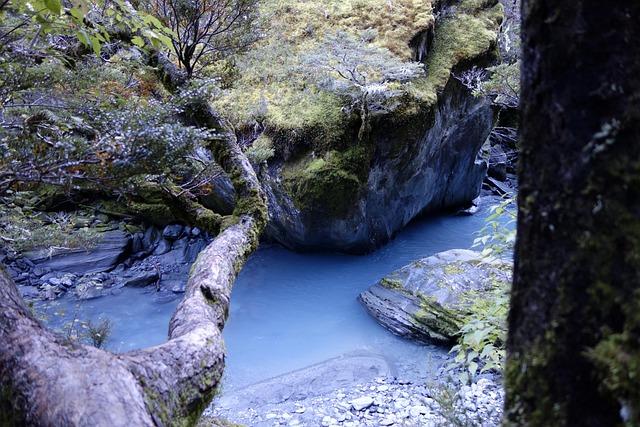 Rob McCoy: The Influential Pastor Energized for Four More Years of Trump