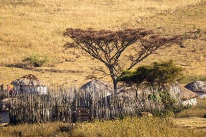 Is Rooney Mara Expecting Her Second Child with Joaquin Phoenix?