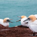 Slurs, 911 Calls, and a Crossbow: Inside the Neighborhood Feuds Leading Up to Jonathan Joss’ Tragic Death