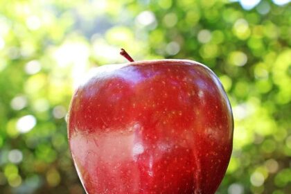 Texas Education Chief Meets with Turning Point USA to Discuss Expanding Influence in High Schools