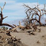 Love Island USA’s Jeremiah Brown to Host Exciting Night at San Antonio’s Club 1902 This Saturday