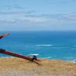 Former News Anchor Sentenced to 10 Years for Pandemic Fraud Scheme