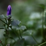 Why Philly’s Early Intervention Program Is Letting Down Its Youngest Kids