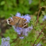 Gregg N. Sofer Appointed to Lead U.S. Attorney’s Office for Western District of Texas