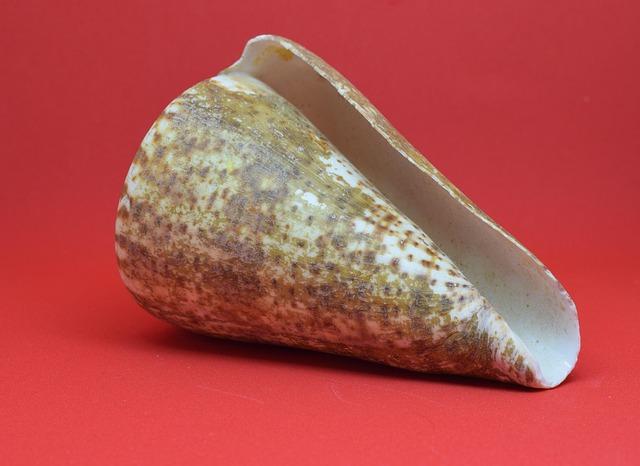 Inside Look: FEA President Andrew Spar Shares Insights on Education Policies