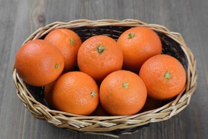 Former HISD Parent Launches Exciting New Mandarin Immersion School