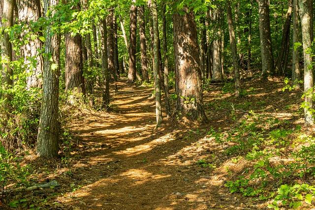 Former Suns Guard Uncovers Kevin Durant’s Honest Thoughts on the Team