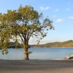 Arkansas Trustees Reject University of Phoenix in Major Education Decision