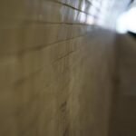 Mom’s Rental Car Records Help Catch Notorious Repeat Offender in Violent Attack on 71-Year-Old Man in Bellaire