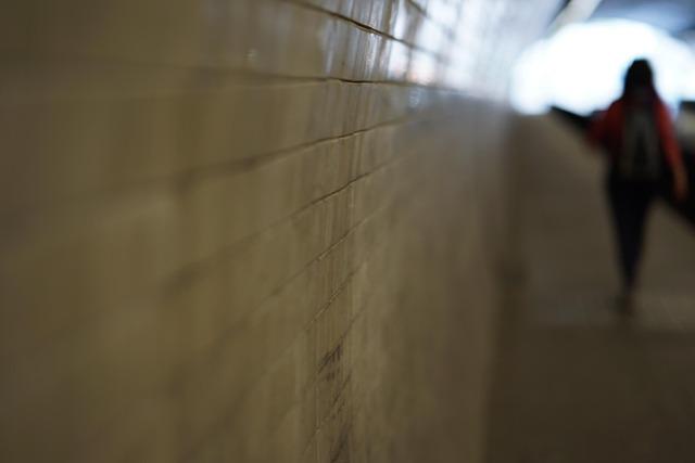 Mom’s Rental Car Records Help Catch Notorious Repeat Offender in Violent Attack on 71-Year-Old Man in Bellaire