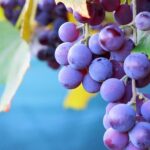 NBA Viewership Surges Dramatically in First Month of New Broadcast Deal