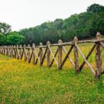 Texas superintendents say school takeovers aren’t a sustainable way to boost student learning – Houston Public Media