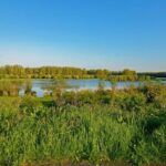 Spring-Area Homeowners Confront Long Road to Recovery After Devastating Tornado