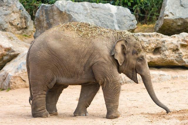 Chester County Extends Voting Hours After Third-Party Voters Were Initially Omitted