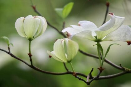 Florida Approves Conservative Education Model to Teach Students About the “Ideological Evils of Communism