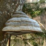 Woman Allegedly Tried to Hire Tinder Date to Murder Her Ex and His Daughter