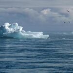 Houston Residents Split on What’s Driving Climate Change, Survey Reveals