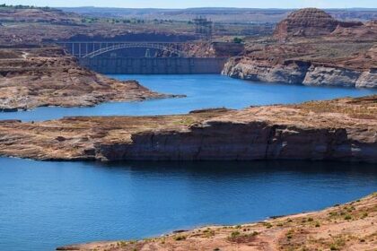 Ranking Every Glen Powell Sketch from His Epic ‘Saturday Night Live’ Debut