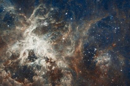 Discover Which Companies Are Paying Millions for Excess Emissions in the Houston Area in 2024 and 2025