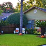 Discover the Best Spots for Pumpkins, Hayrides, and Fall Fun in Houston