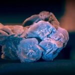 Nutrien Sells 0 Million in Assets to Double Down on Saskatchewan’s Booming Potash Market