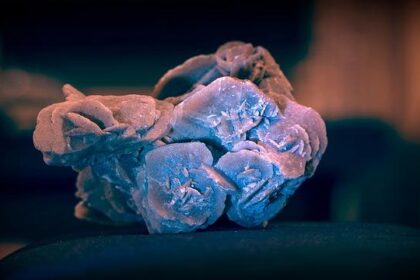 Nutrien Sells 0 Million in Assets to Double Down on Saskatchewan’s Booming Potash Market