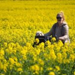 Grupo Frontera’s ‘El Comienzo’ Tour is Making an Exciting Return to San Antonio!