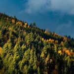 Police Commissioner Warns: 2022 Sees Persistent Troubling Crime Trends in Philly