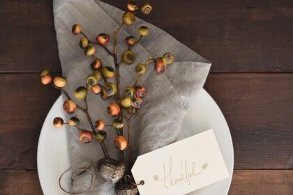 Thanksgiving in Houston: Fun Places Open for the Whole Family