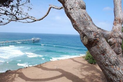 La Jolla’s Daring Bid for Secession Advances Amid City Opposition