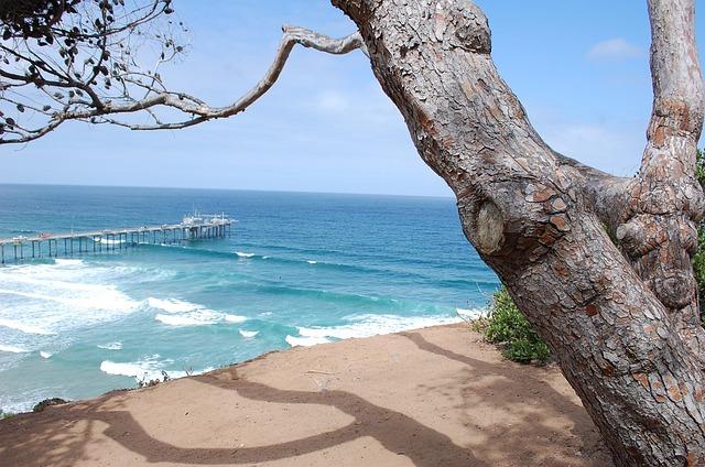 La Jolla’s Daring Bid for Secession Advances Amid City Opposition