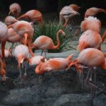 UC San Diego Climbs to 8th Place Among America’s Leading Public Universities