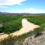 Neighbors Rejoice as Border Reopening Brings New Hope and Connection